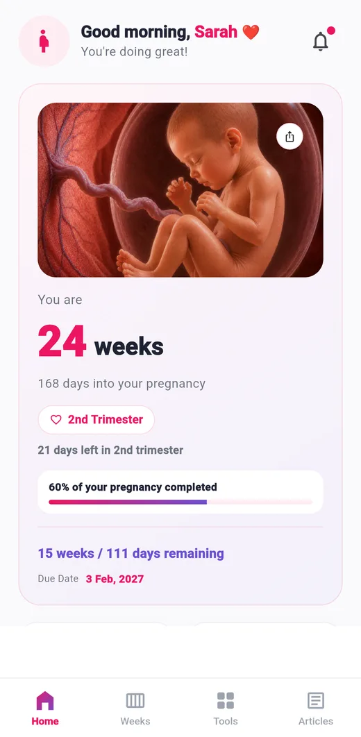 Pregnancy Tracker home screen showing week 24 of pregnancy
