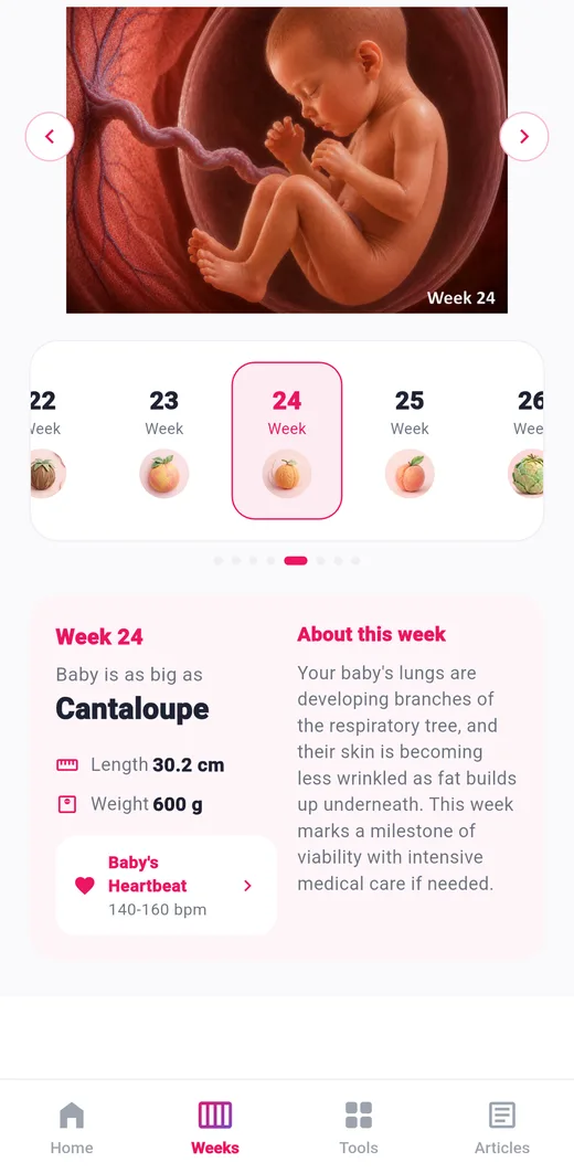 Week-by-week guide showing baby size and length